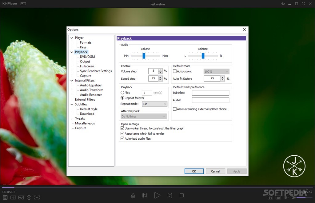 KMPlayer Screenshot 30